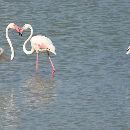 Acogedor Mar Azul Apartman Calpe